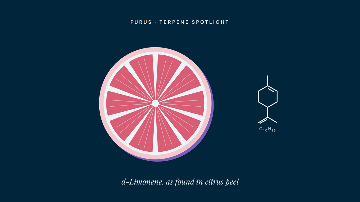Limonene: The Citrus Terpene, Explained