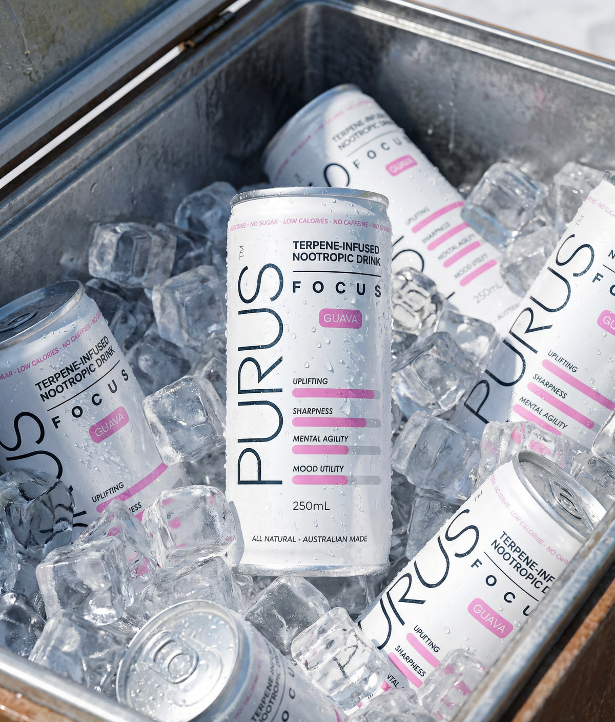 Purus cans on ice