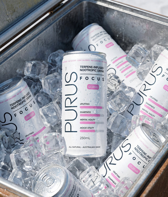 Purus Focus cans on ice in a metal container